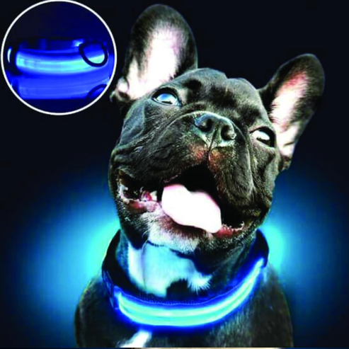 👉 Collier lumineux chien LED
